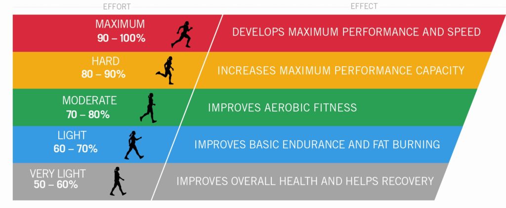 The Best Time of Day to Do Cardio for Fat Loss (Morning vs. Evening)
